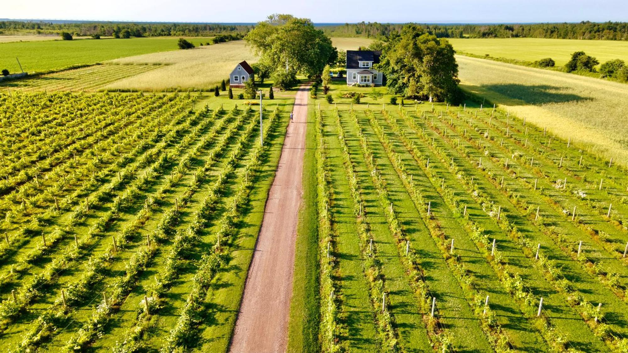 MiscoucheSunbury Cove Winery住宿加早餐旅馆 外观 照片